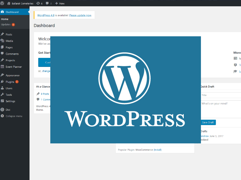 Wordpress CMS Great For Bloggers