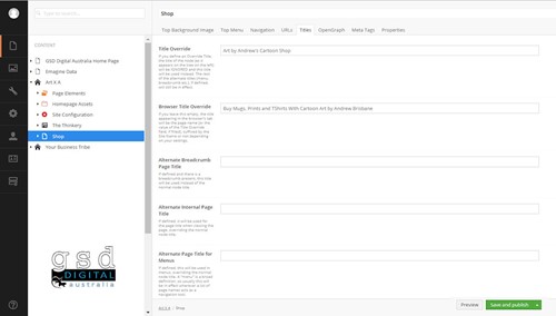 SEO Tutorial Updating Umbraco Titles Using NRS Web Hosting